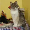 Отзыв от Жанна Суворова